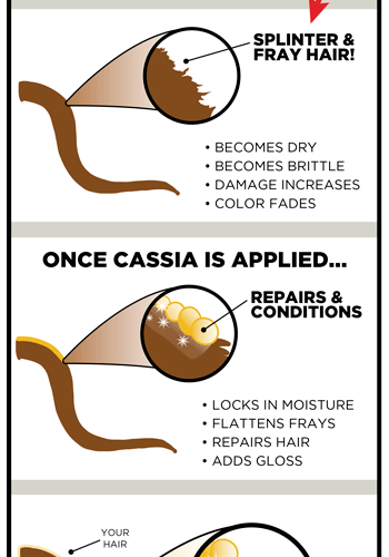 Cassia Obovata (Neutral Henna) | Henna Color Lab®