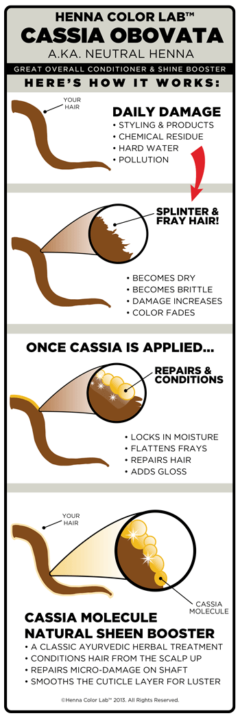 Cassia Obovata (Neutral Henna) | Henna Color Lab® Cassia Obovata (Neutral Henna) | Henna Color Lab®