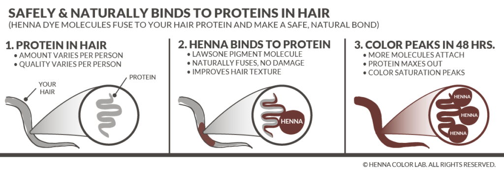 Henna Color Lab® – Henna Hair Dye