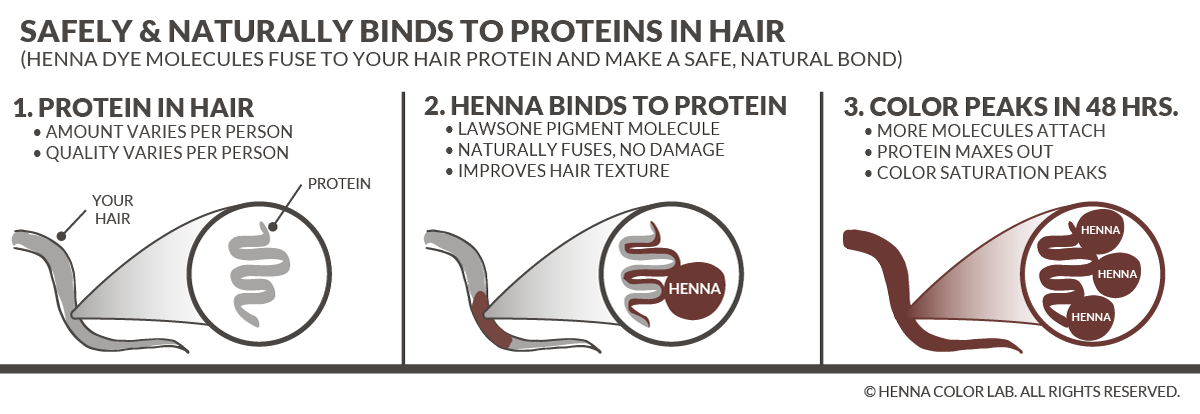 how-henna-hair-dye-works