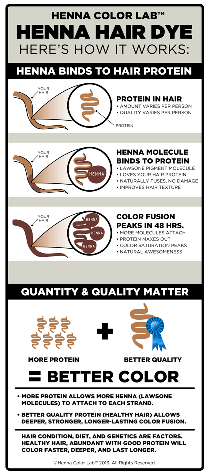 Henna Hair Dye Infographic