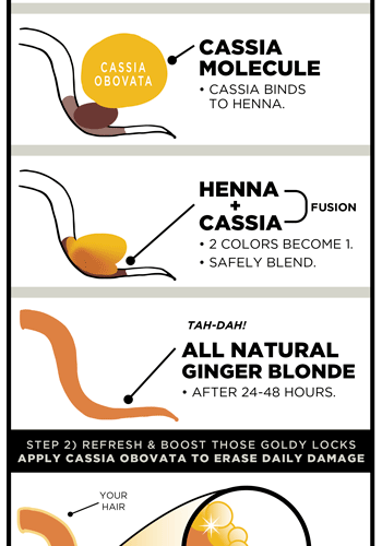 How Ginger Blonde Henna Works Hair Dye