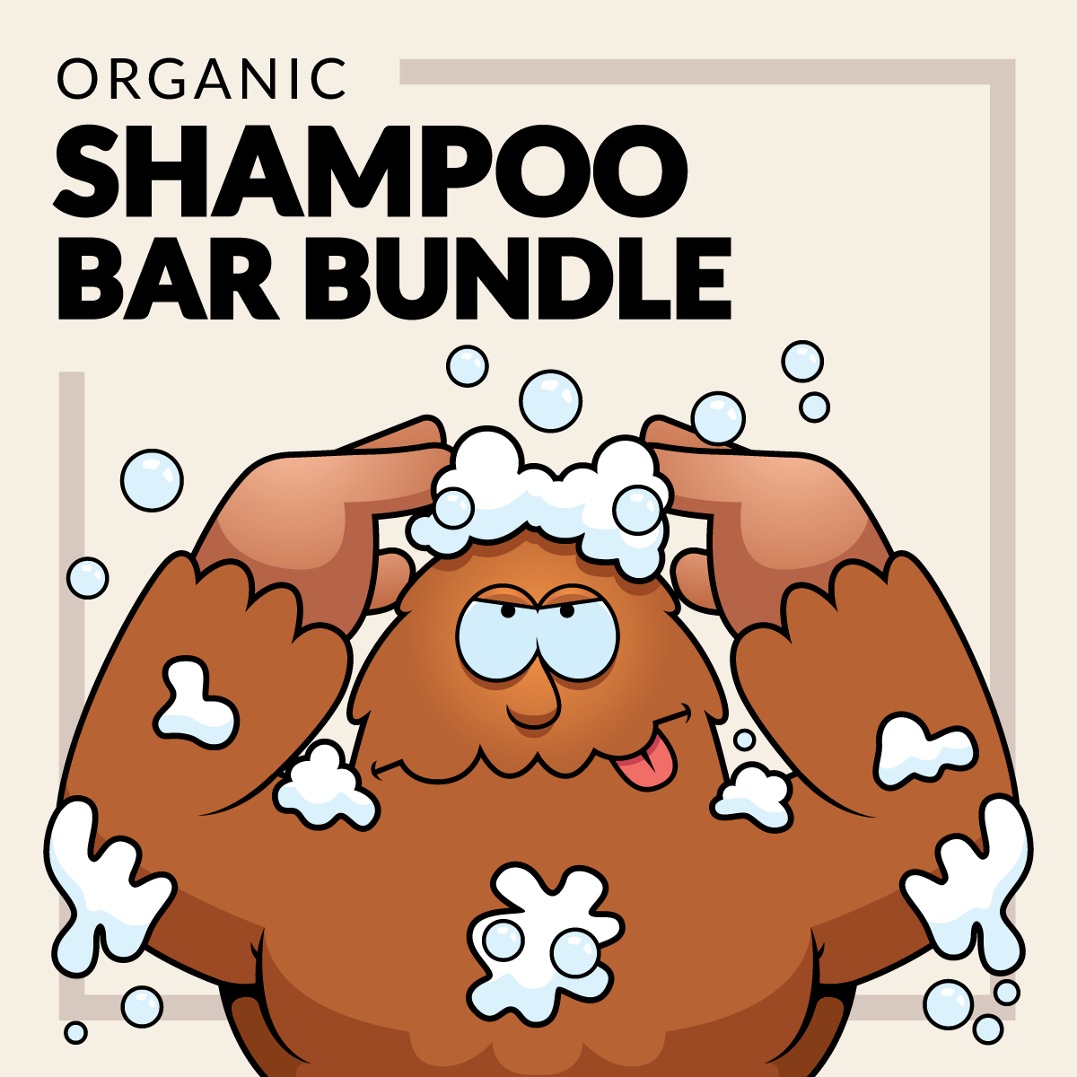 shampoo bar bundle